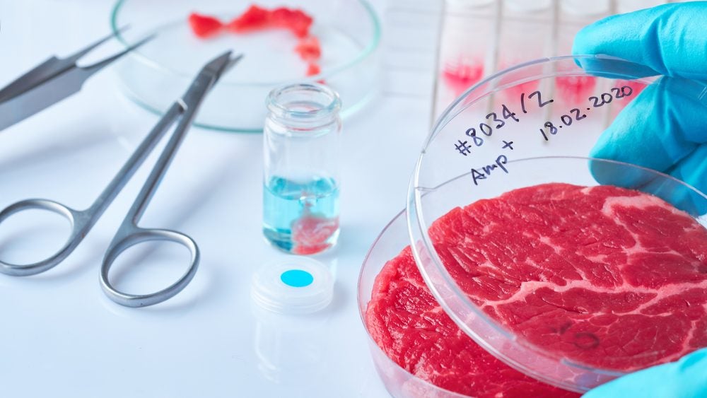 Cultivated meat development in a lab