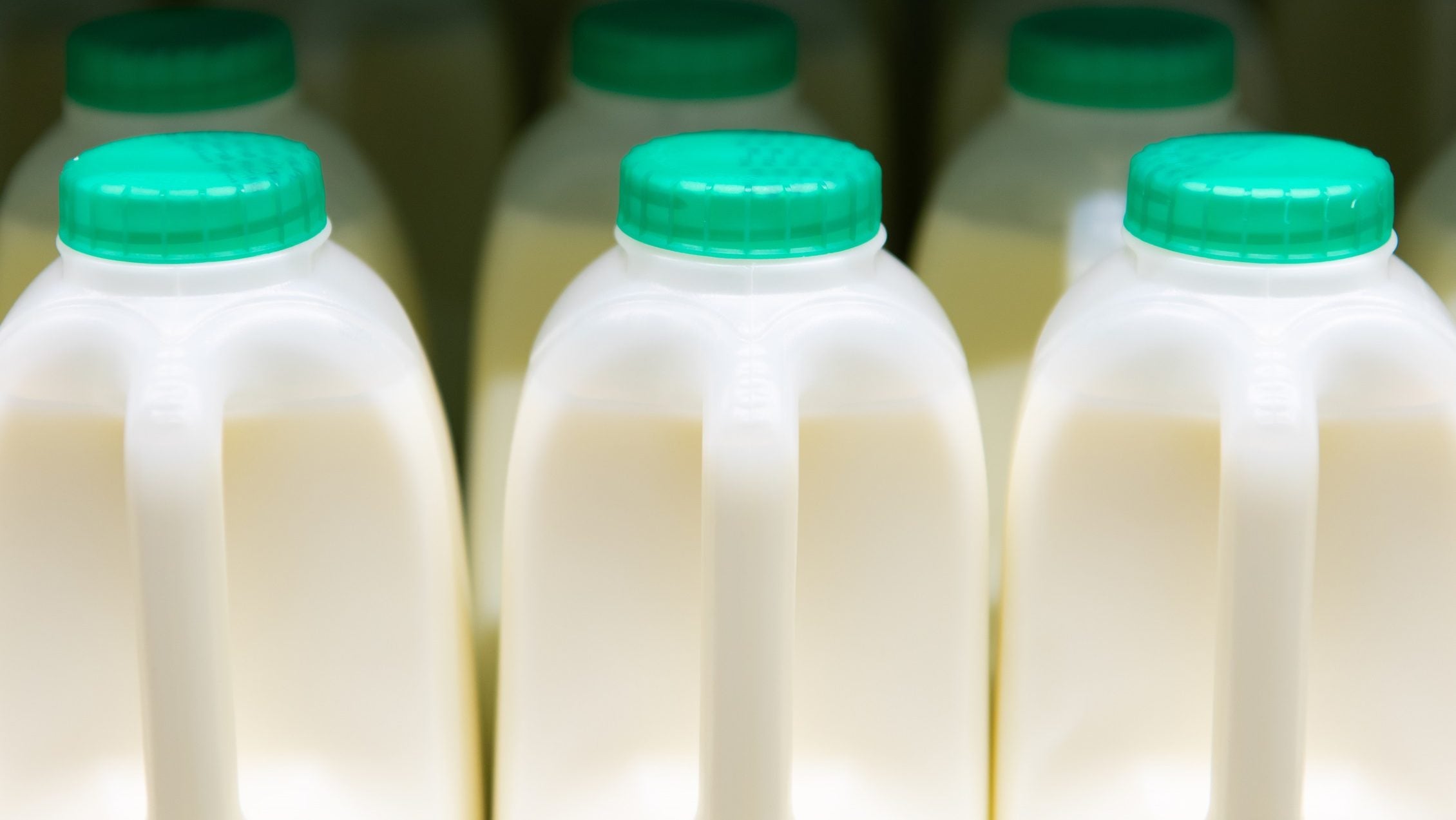 How ‘whistleblowers’ are shining spotlight on UK meat and dairy