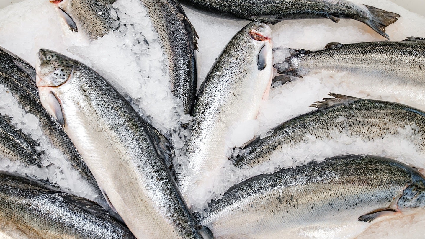 Norway nets record seafood export sales