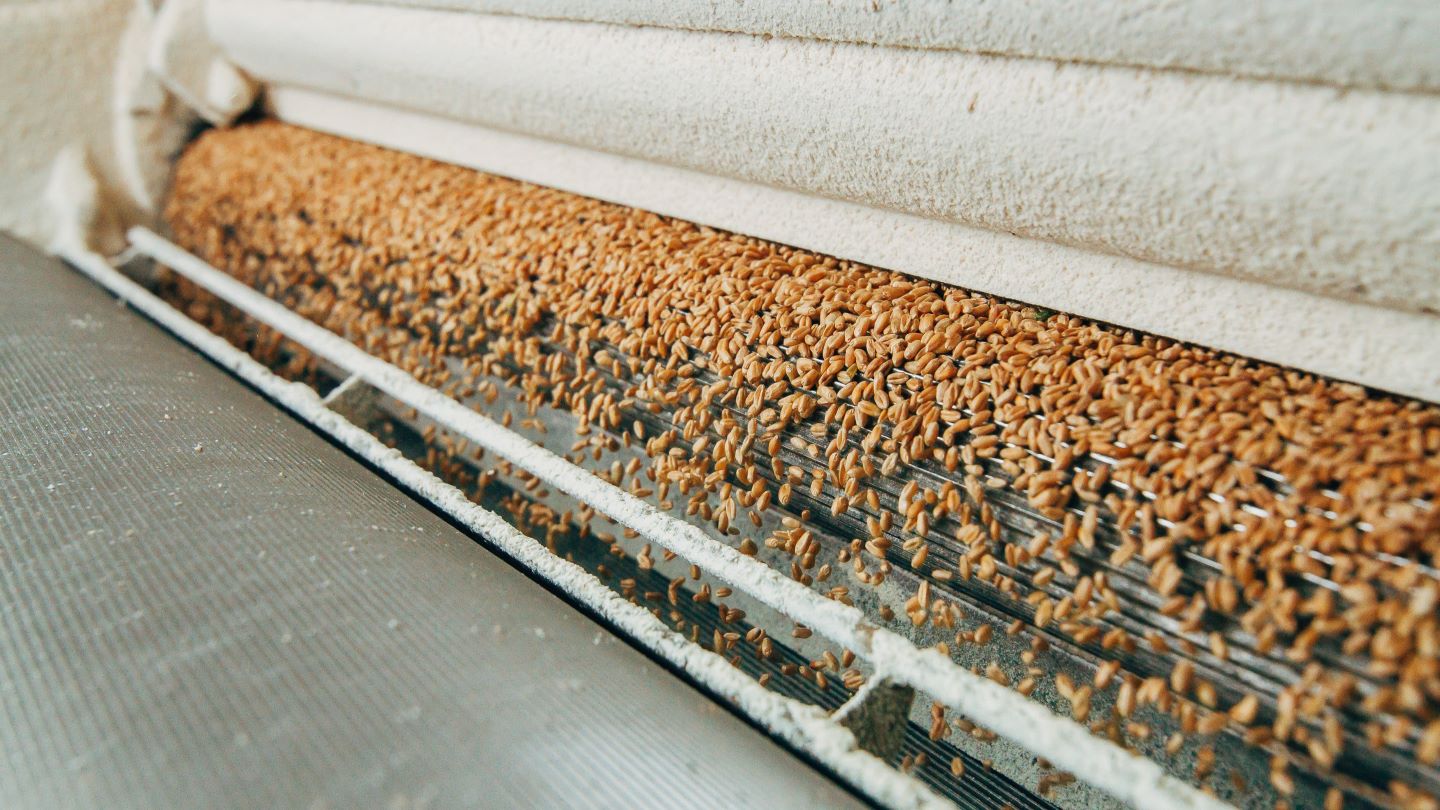 Portugal’s Cerealis, Better Foods to merge milling operations  