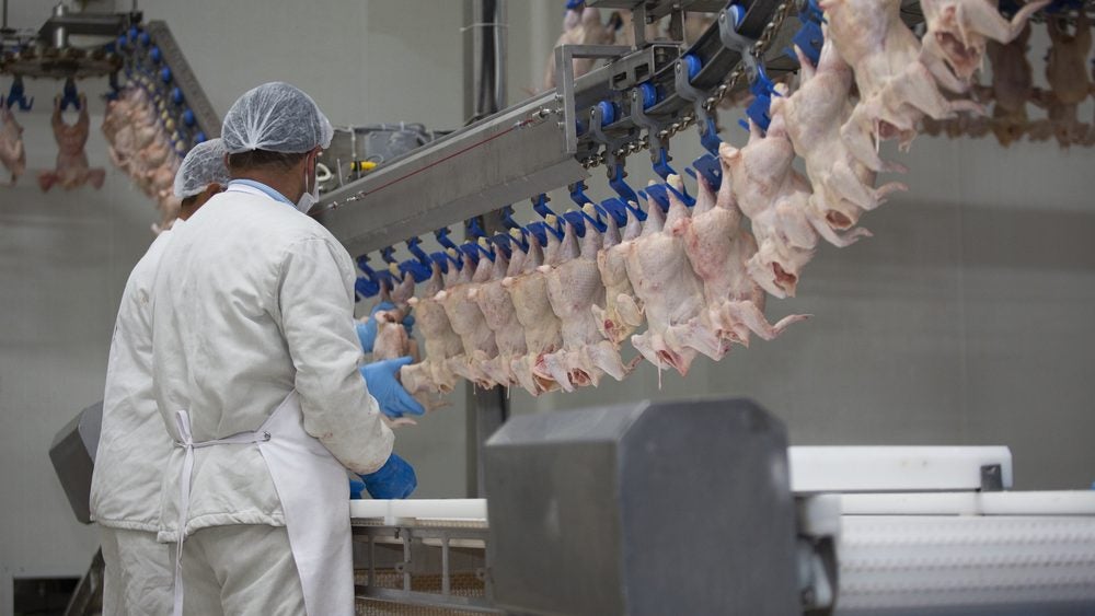 Australia chicken processor Hazeldenes hit by cyberattack