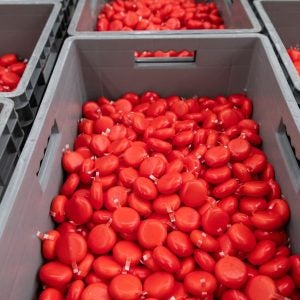 Babybel cheeses made on-site in Brookings, South Dakota