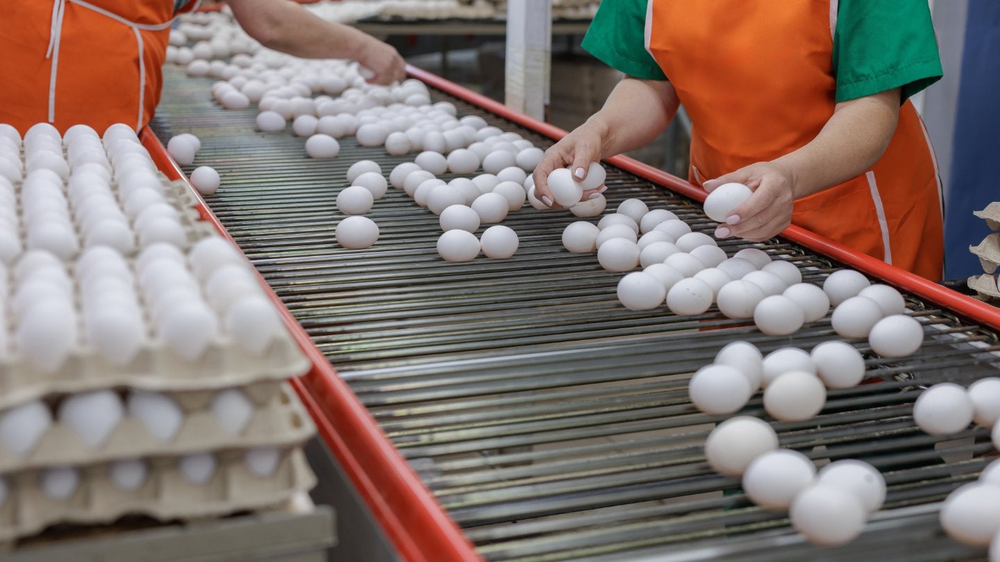 Cal-Maine shells out for another US egg business