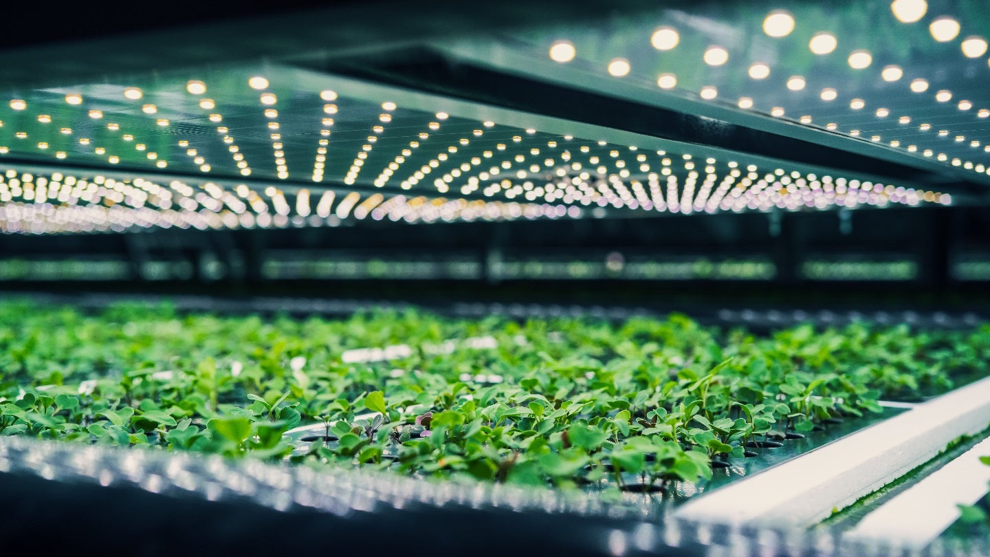 Taylor Farms boosts CEA produce range with Equinox Growers buy 