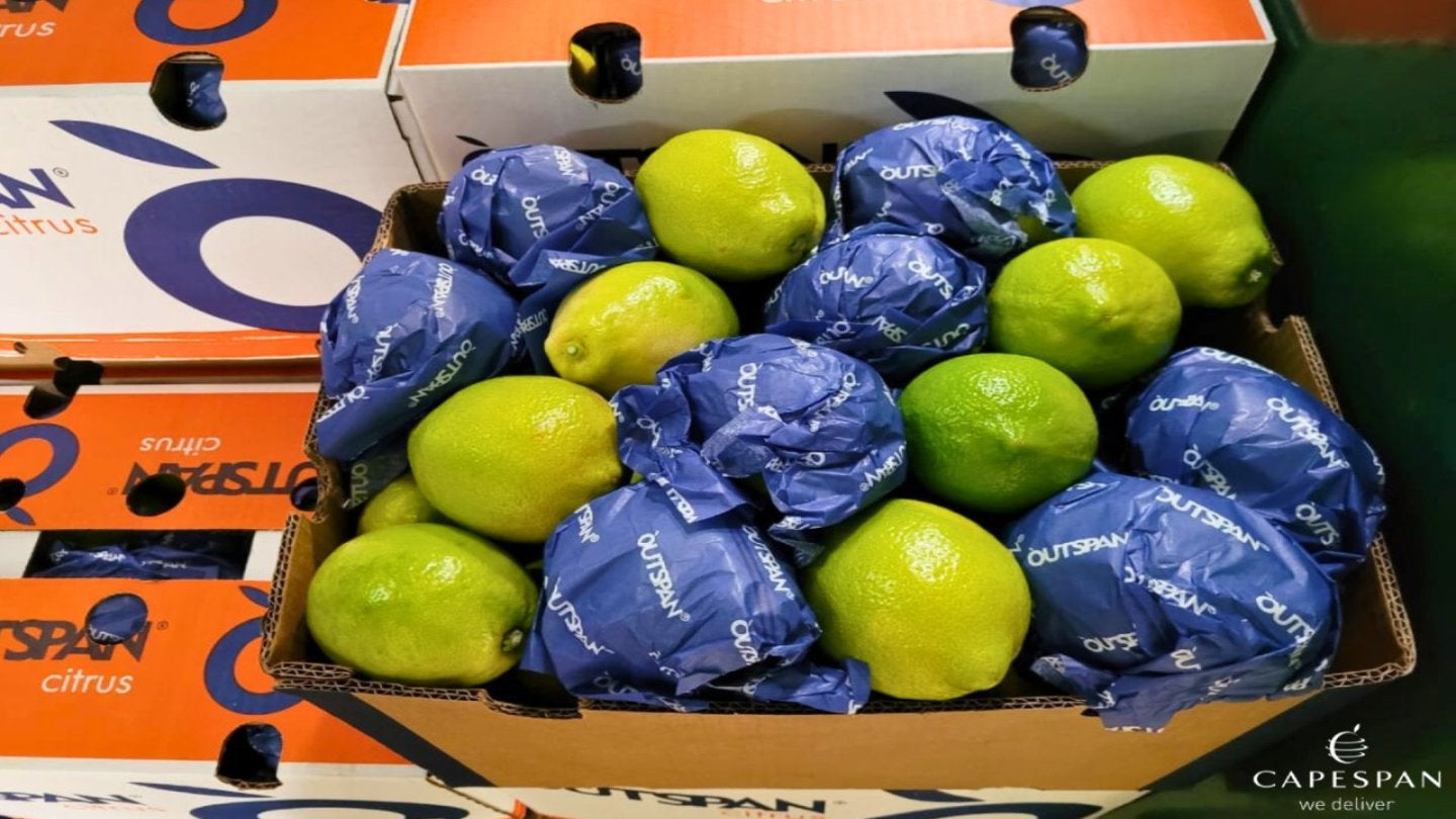 Fruit Group Capespan Names New Ceo Amid Changes To Management