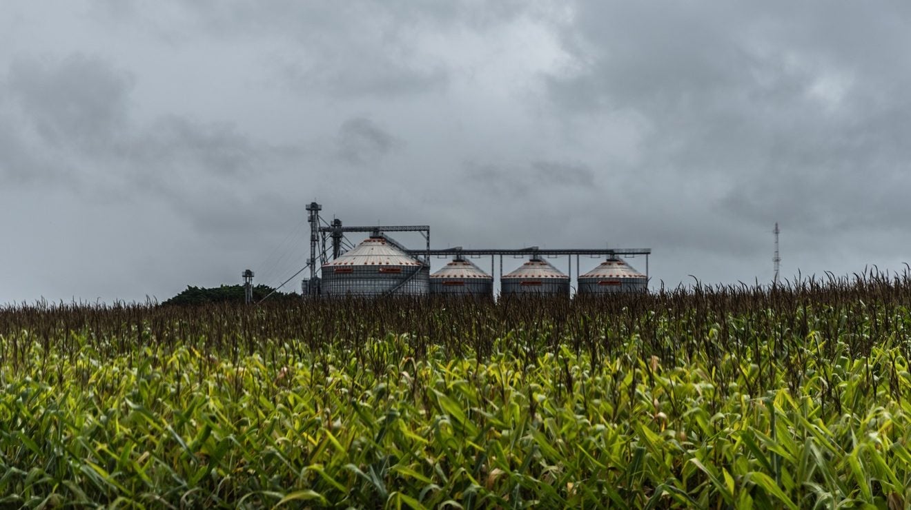 Iran War: Fao Food Commodity Price Index Rises In March