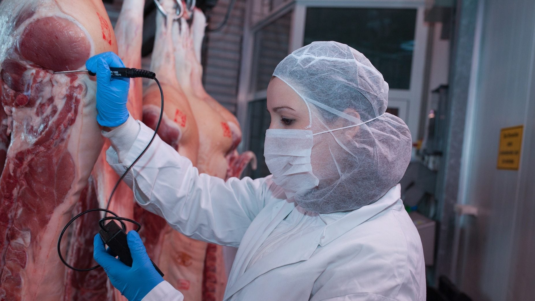 Austria’s Norbert Marcher strikes deal for EG Südbayern slaughterhouses