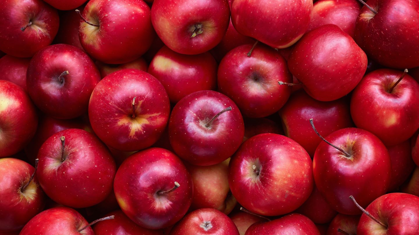 T&G Global enters sale talks for NZ, Fiji and Pacific fresh produce units