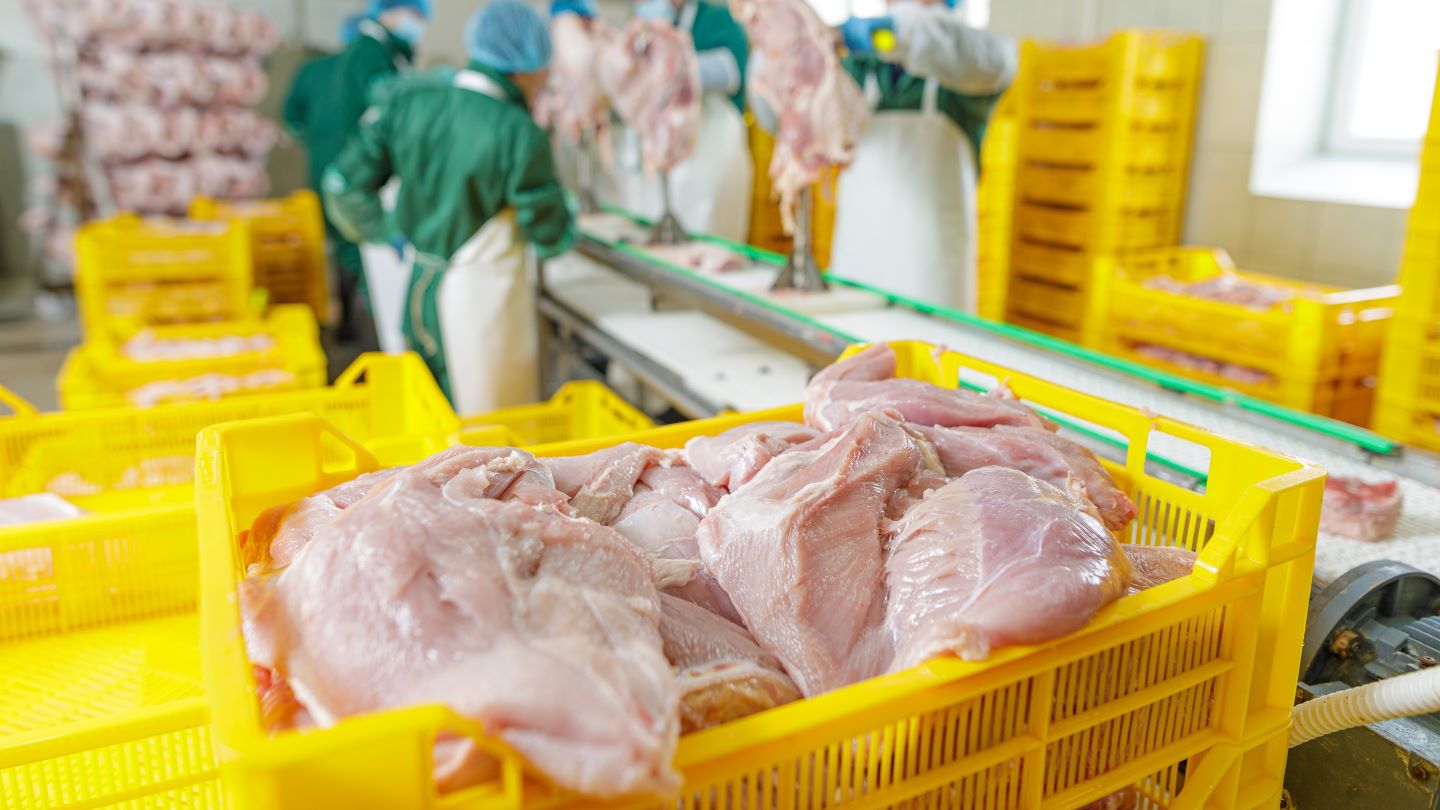 Bernard Matthews to close UK processing plant