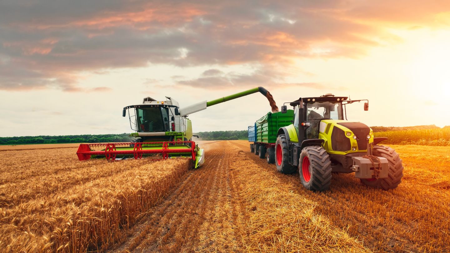 “Risk premium” building in food as prices highest since 2022 – FAO 