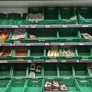 Empty trays of fresh produce