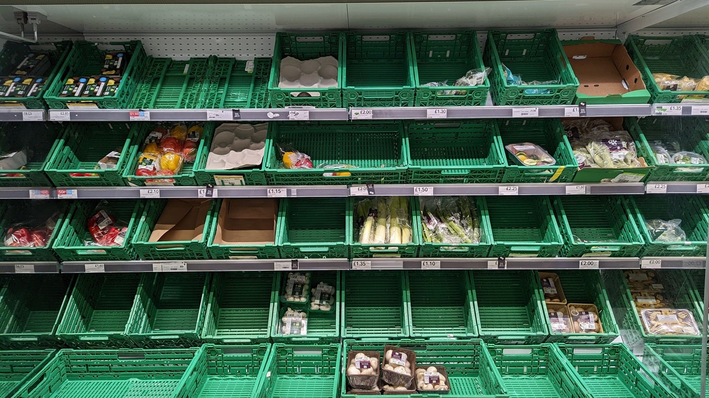 UK “must learn from other countries” to strengthen food supply chain