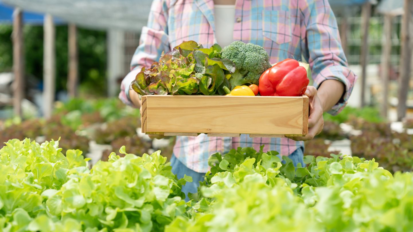 European agreement reached to update organic farming rules