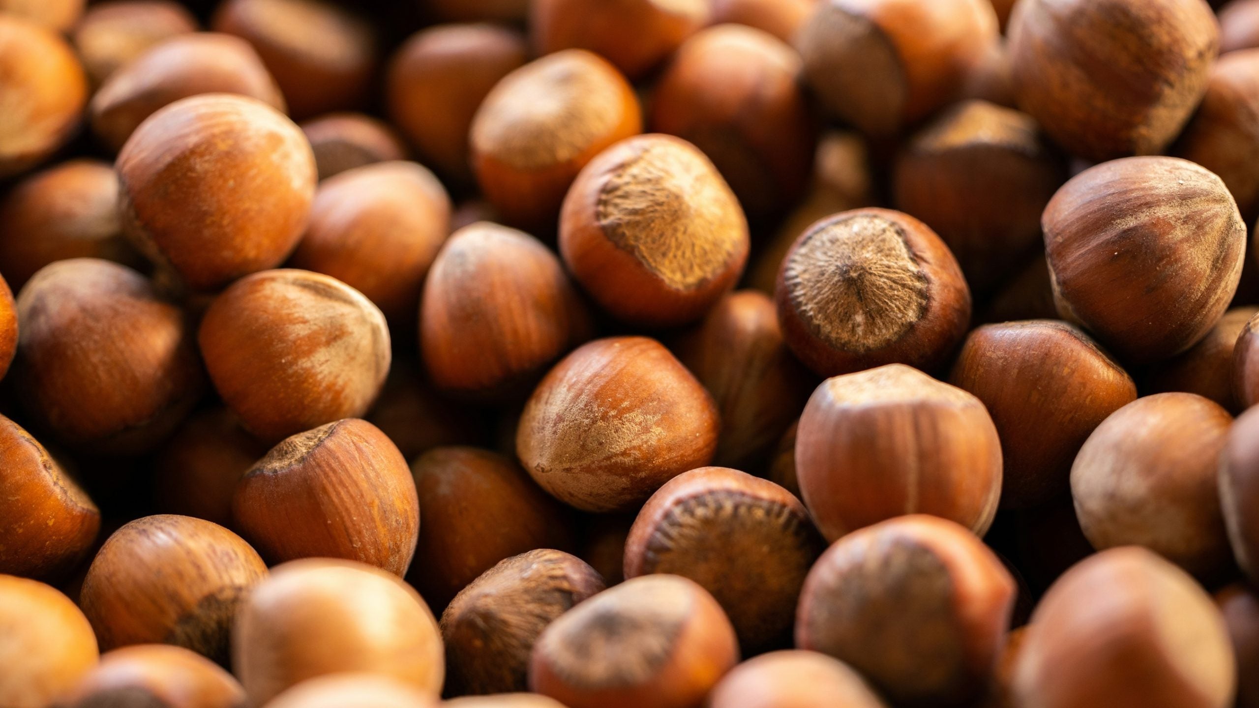 Unigrains backs hazelnuts supplier Unicoque