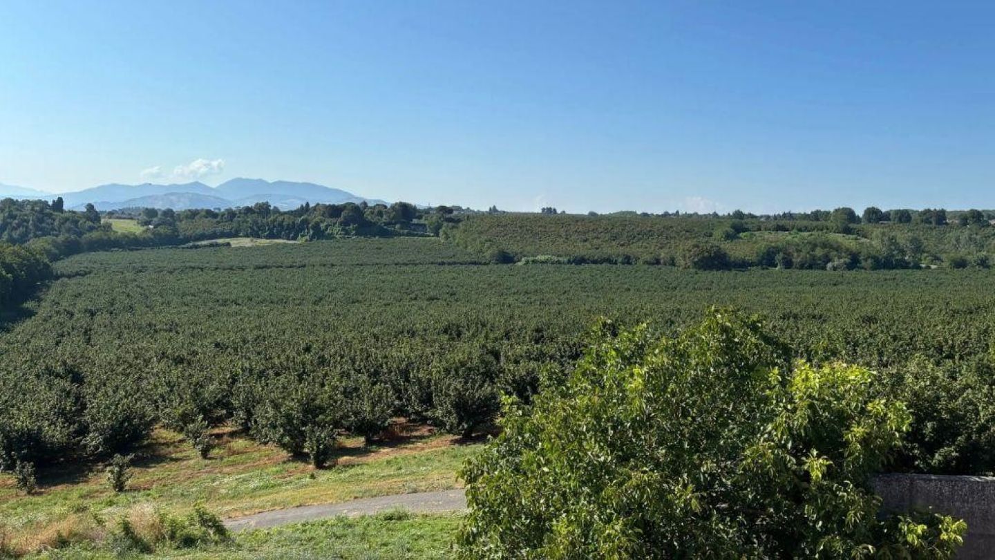Loacker adds to hazelnut-growing assets