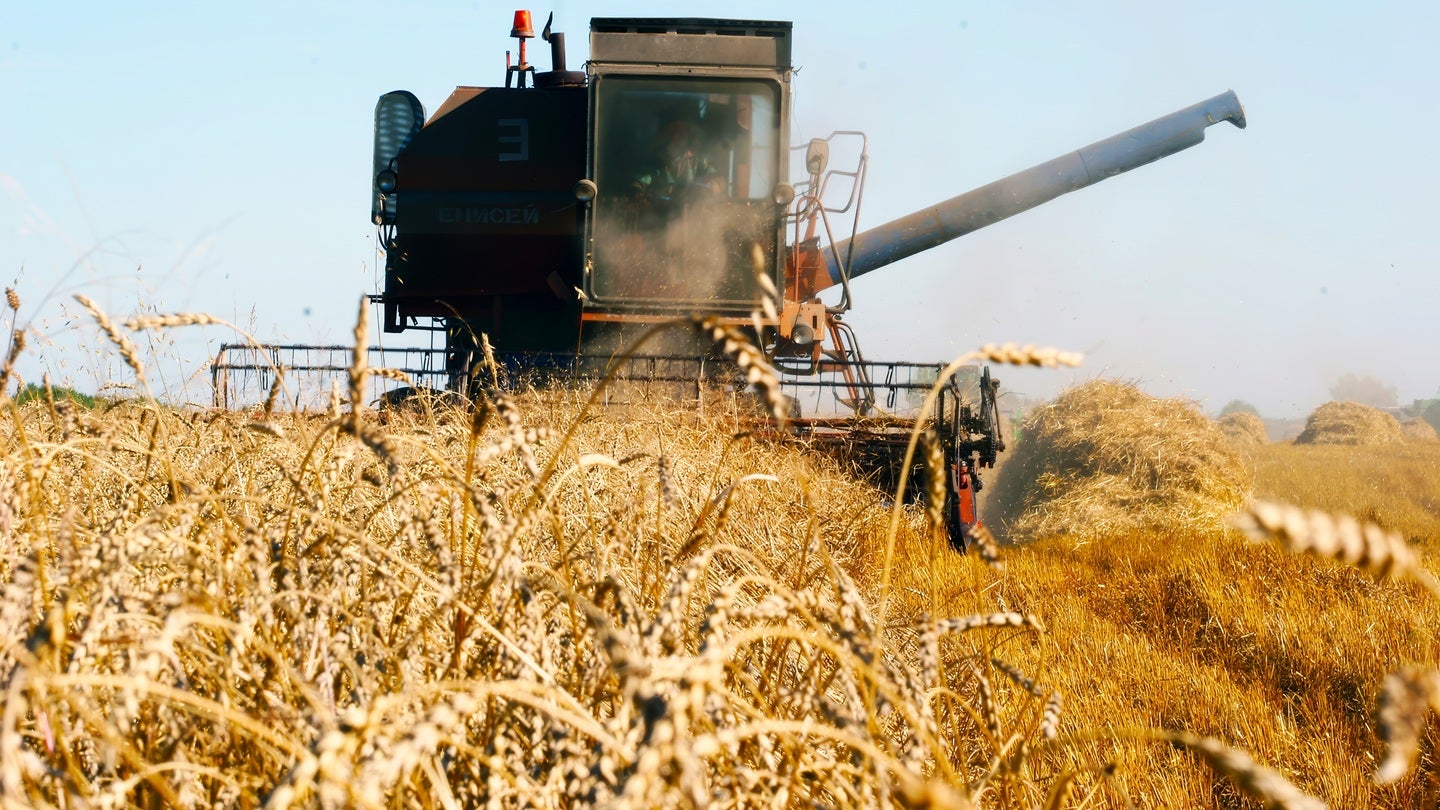 Sugar, wheat drives FAO commodity index